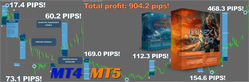 Forex Viking – 最赚钱的指标-EA交易综合站
